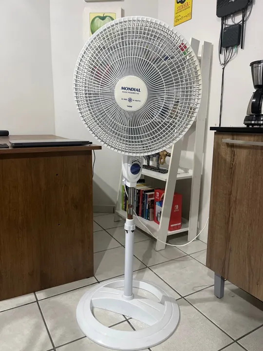 Ventilador Mondial 6 Pás - Usado