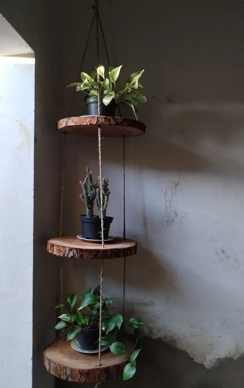 Prateleira Suspensa de Madeira para Plantas