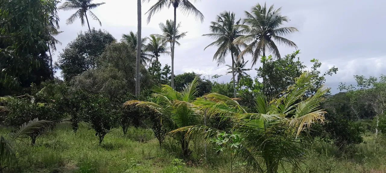 Sitio 3 taferas itaporanga  - Foto 11