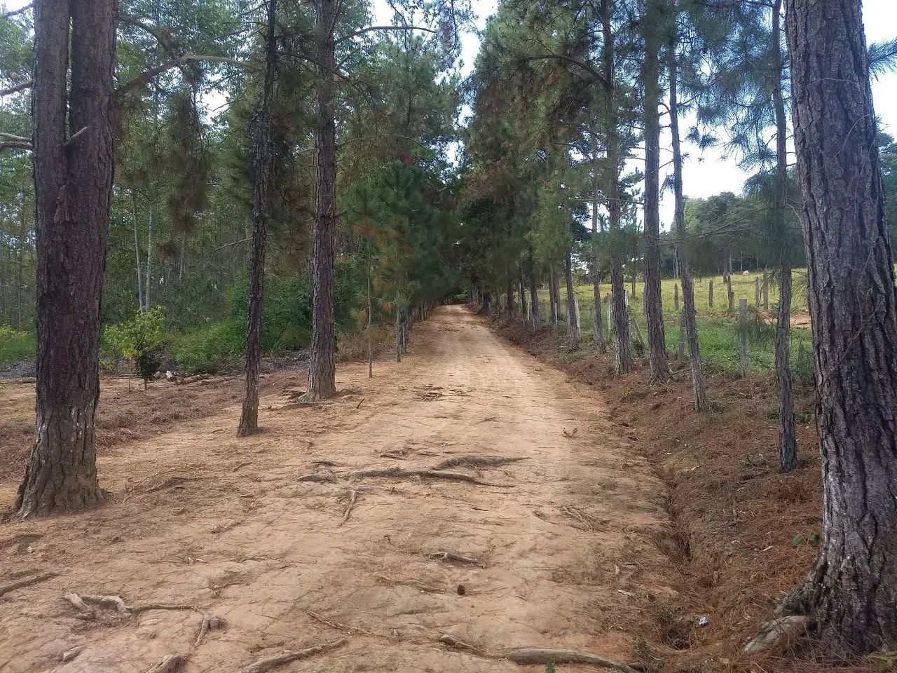 Excelente terreno de 4.000 metros  - Foto 2