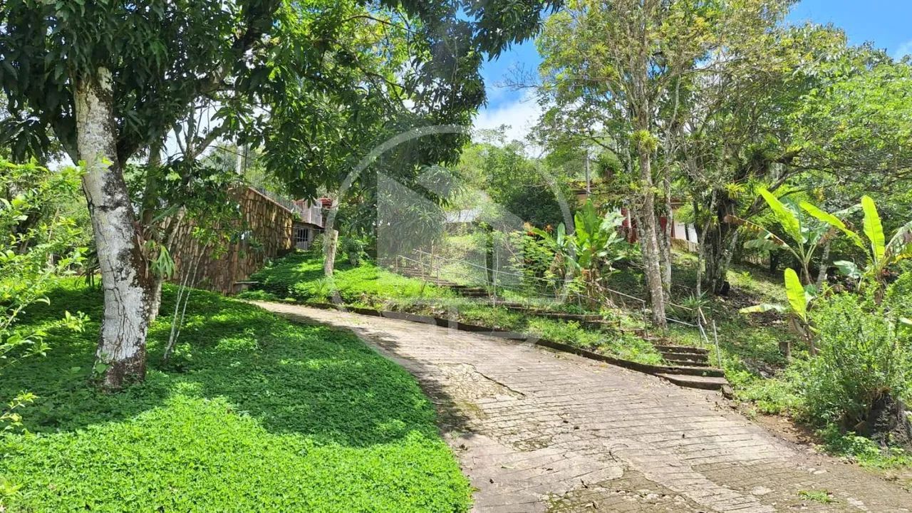 Sítio para Venda em Mulungu, Piaba, 4 dormitórios, 3 suítes, 4 banheiros, 20 vagas - Foto 3