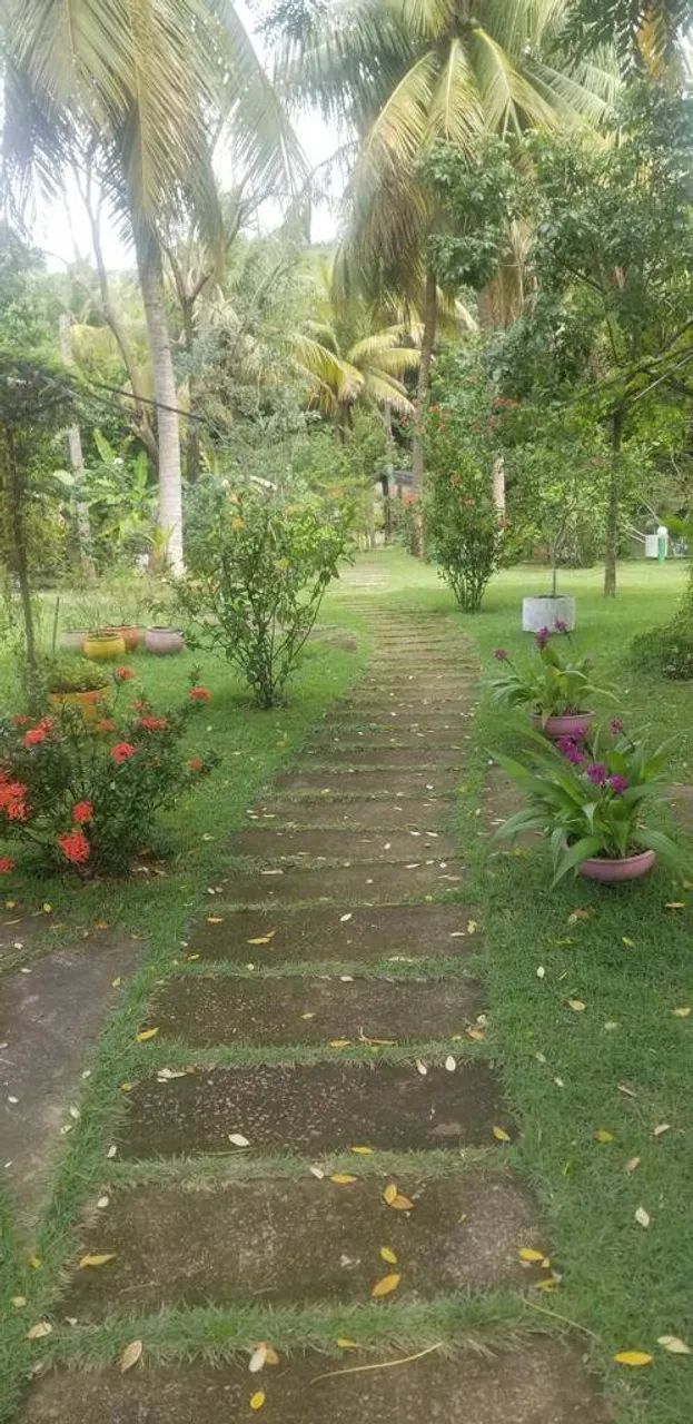 Linda área de terreno com casa 2 pavimentos e 5 chales - Chapadão - Foto 3