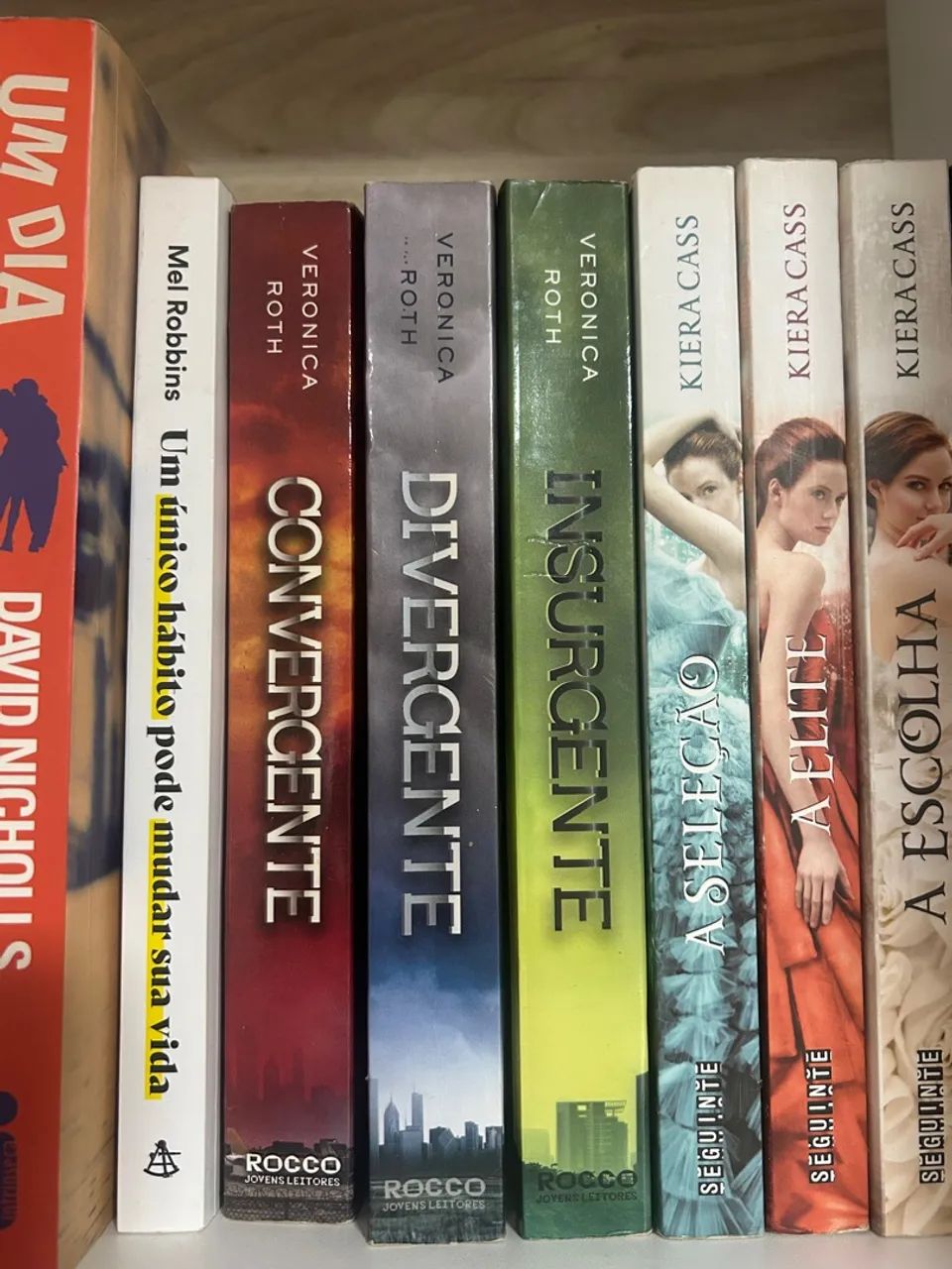 Livros diversos - ótimo estado - Livros e revistas - Rio