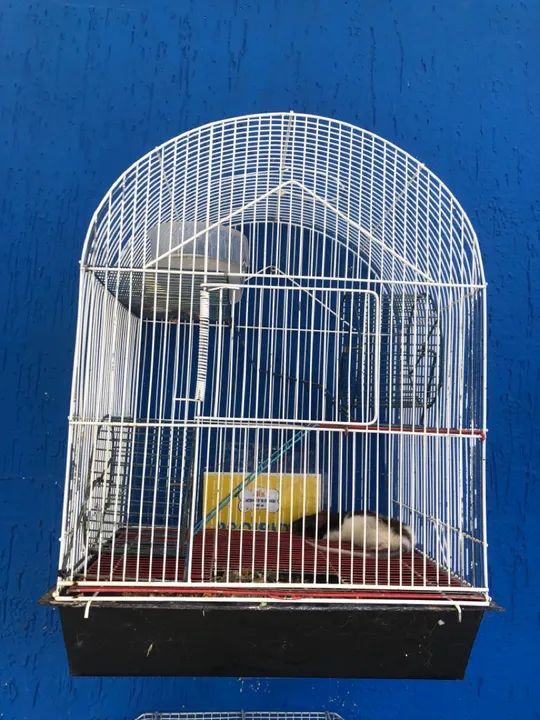 GAIOLA PARA HAMSTER  - Foto 6