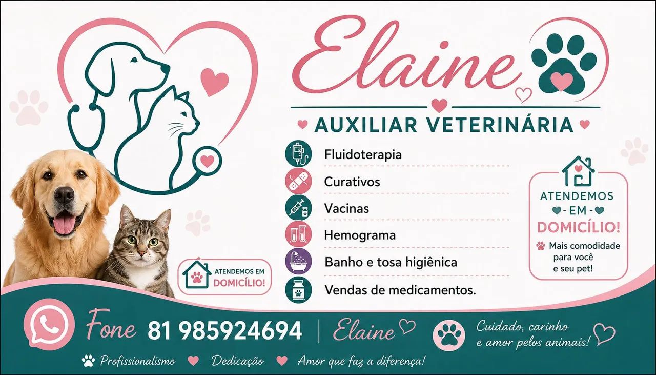 Serviços pet