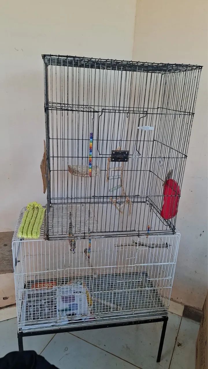GAIOLA DE PASSARINHO 