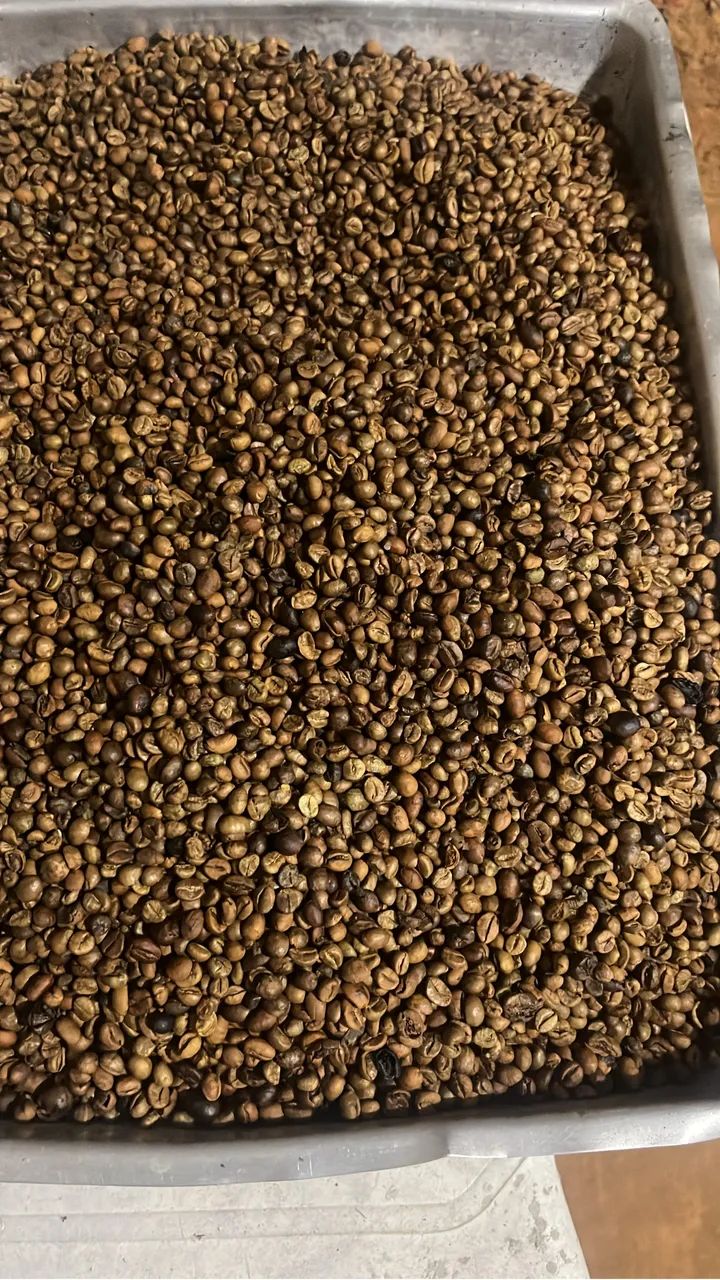 Pó de café da roça 500 gramas - Foto 3