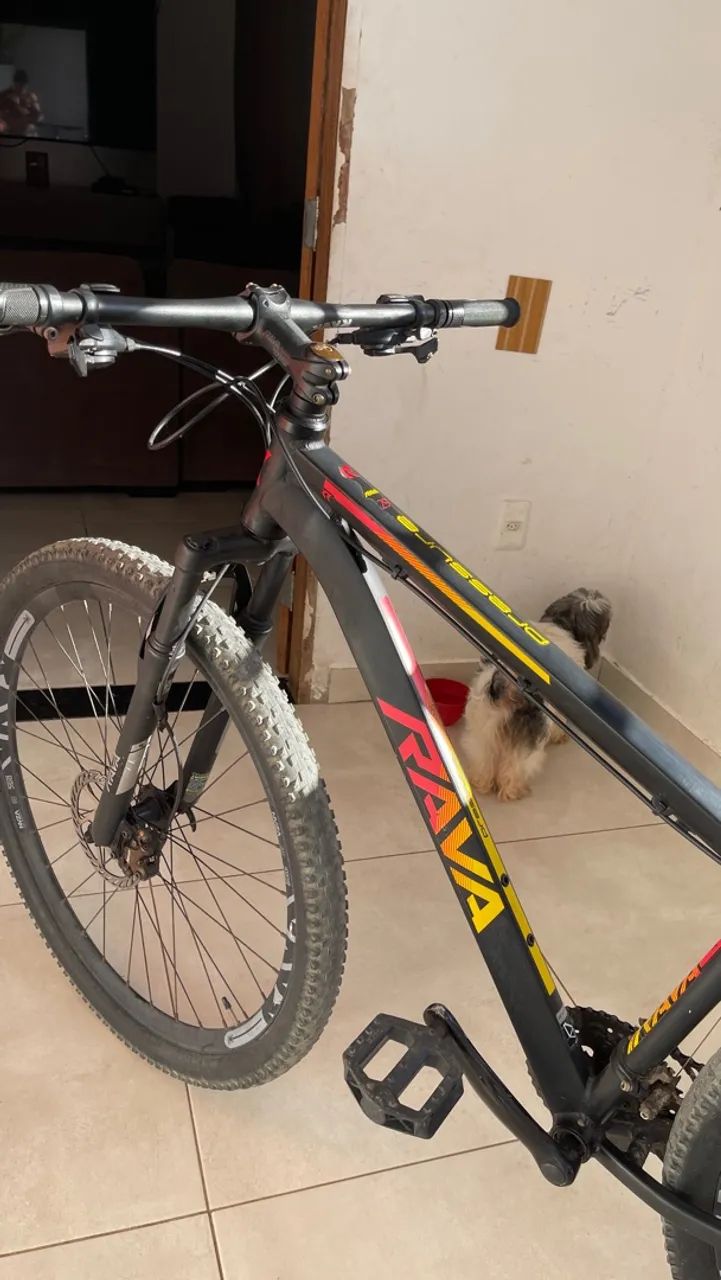 Bicicleta Rava profissional aro 29  - Foto 3