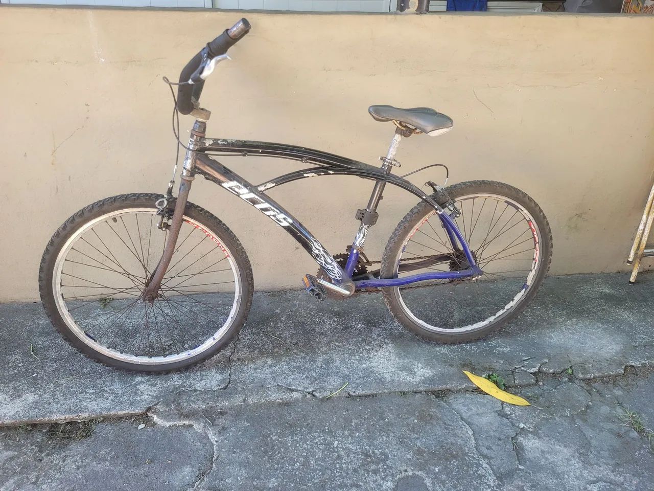 Bicicleta praiana