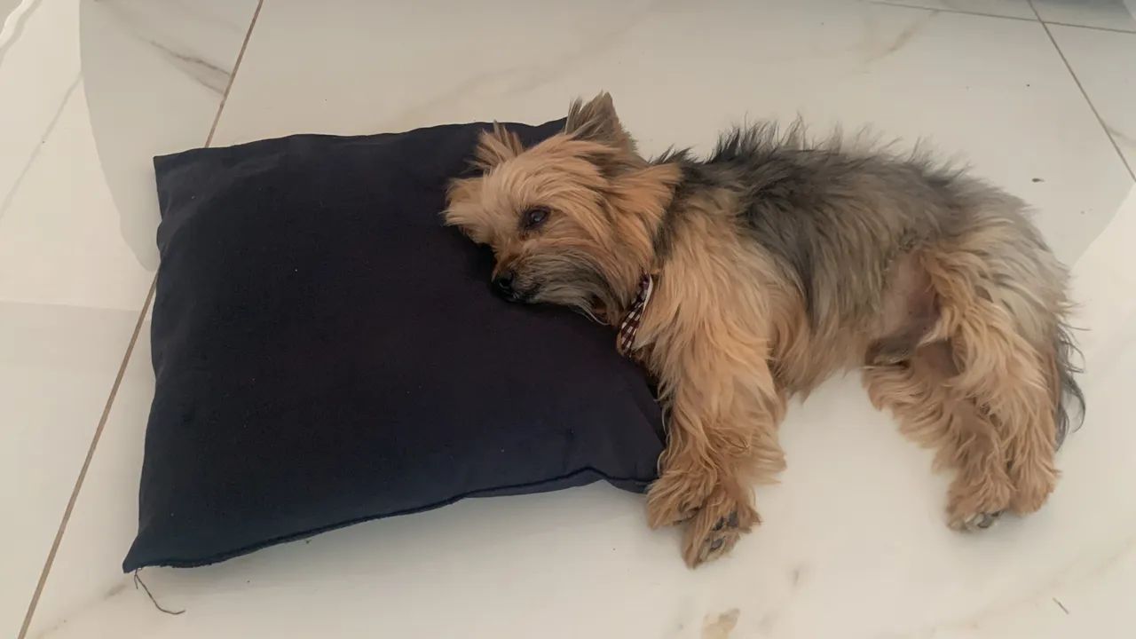 Procura namorada  - Foto 5