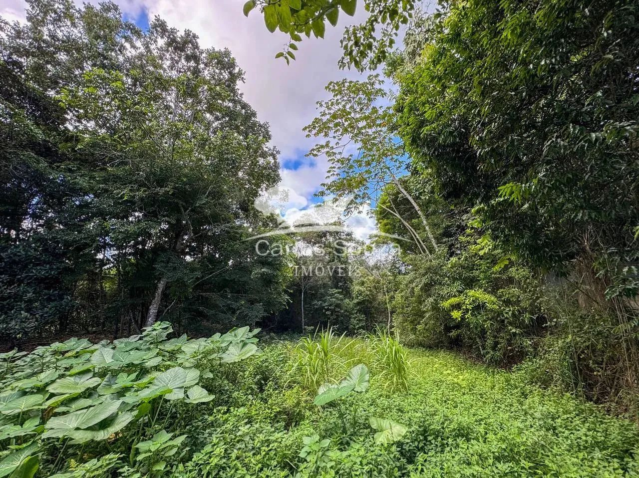 Terreno fora de condomínio Cód 344 - Foto 4