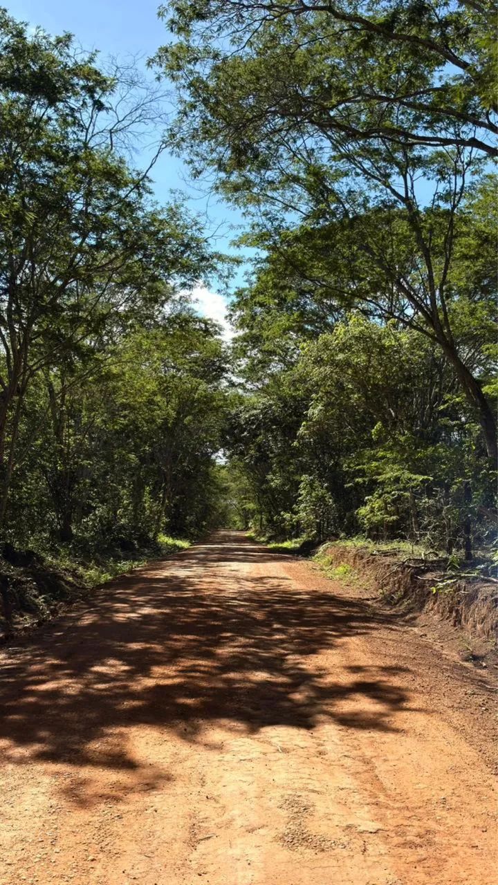 Foto - Lençóis - 
