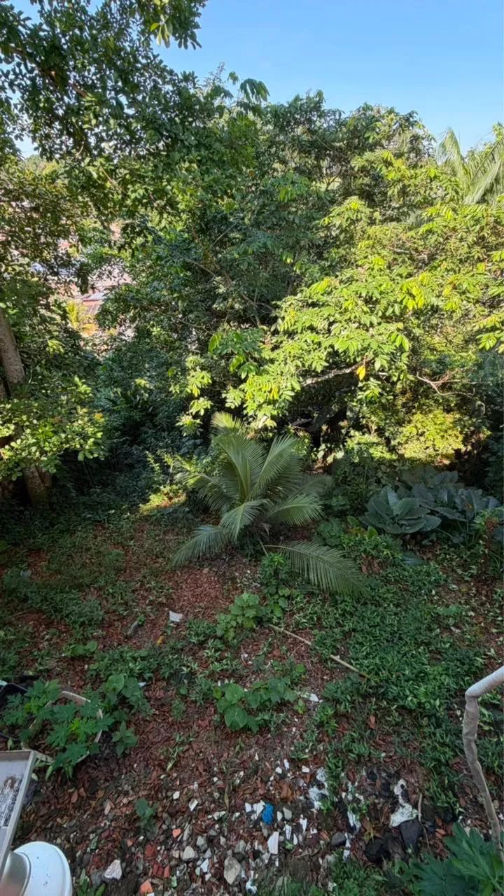 Vende-se - Foto 4