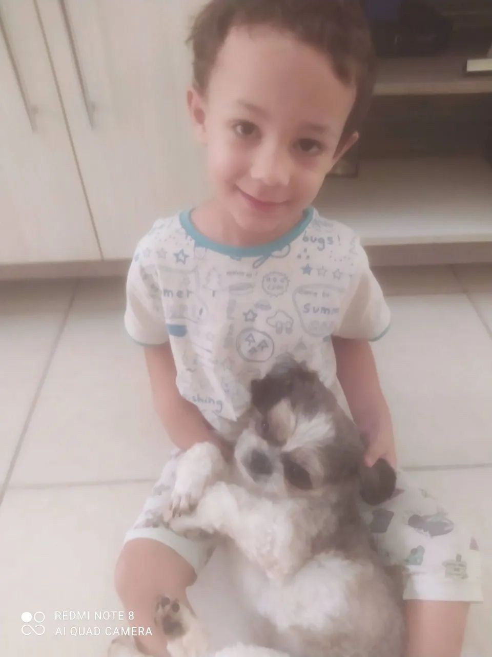 Doação Shitzu - Foto 4