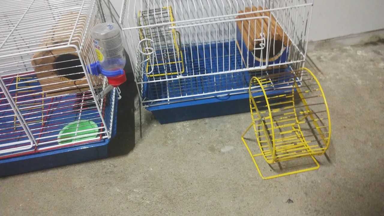 Gaiolas para hamster e roedores  - Foto 4