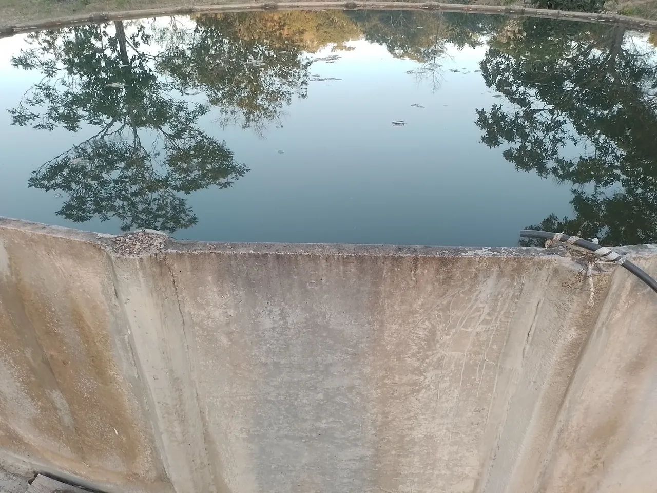 Fazenda de 93,4 hectares - Foto 3