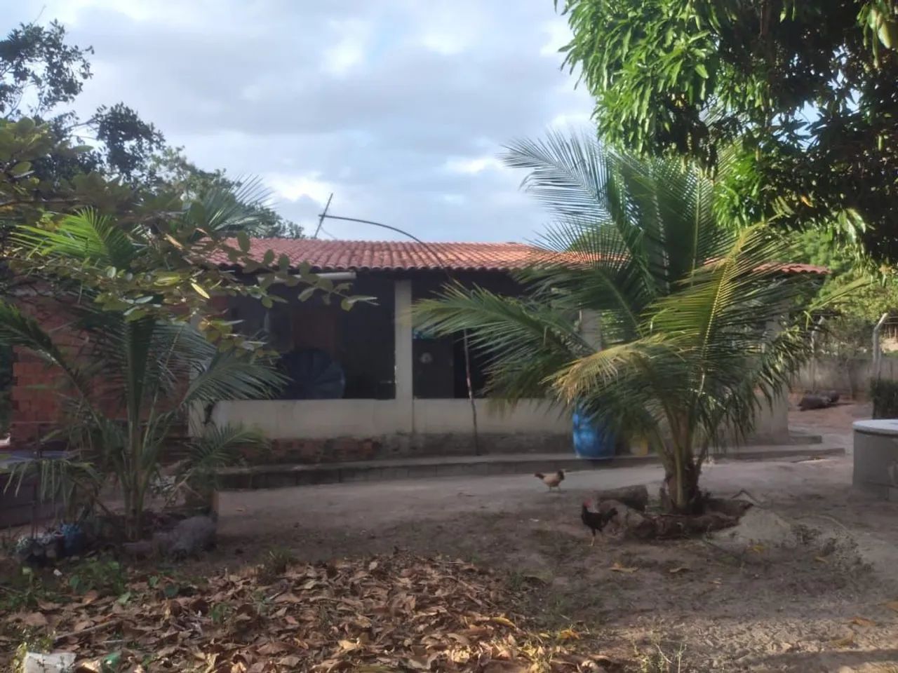 Sítio em Itapipoca/CE - Foto 5