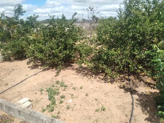 LOTE DE 4356M² TODO MURADO - Foto 3