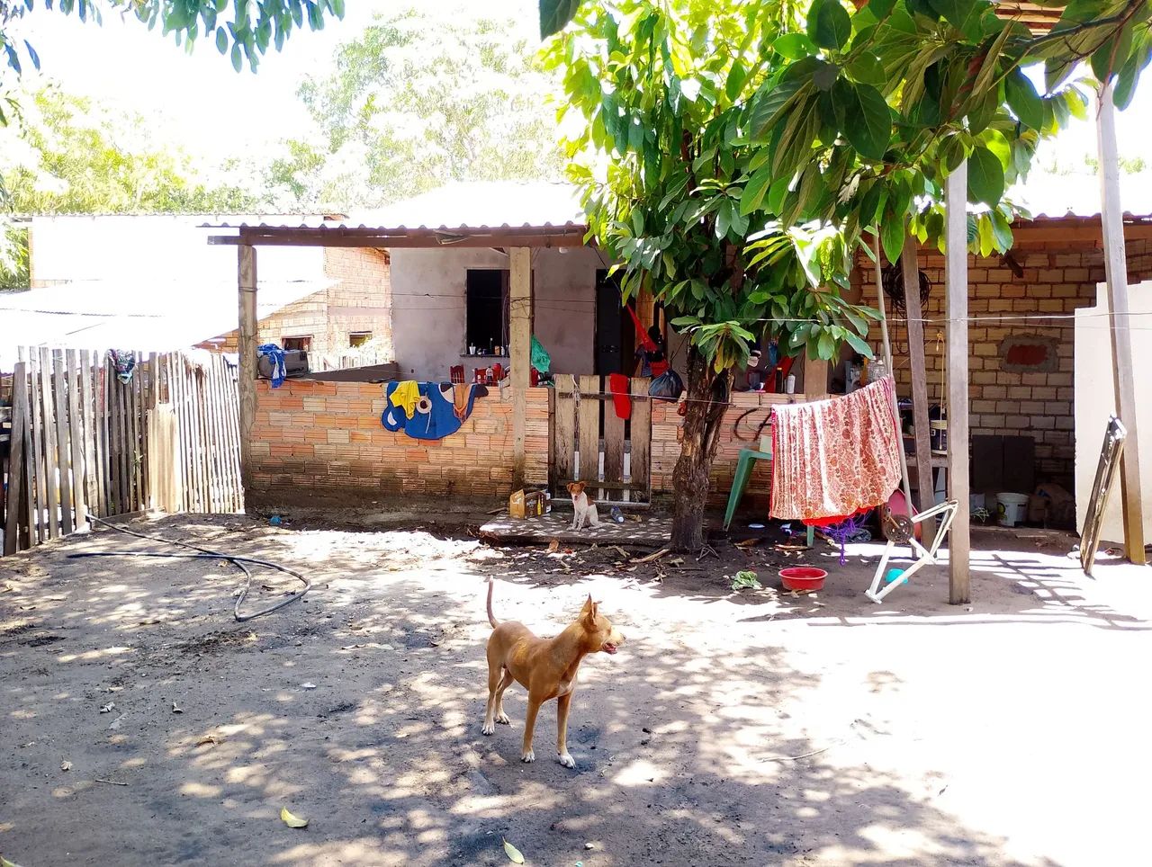 Vendo casa  - Foto 4