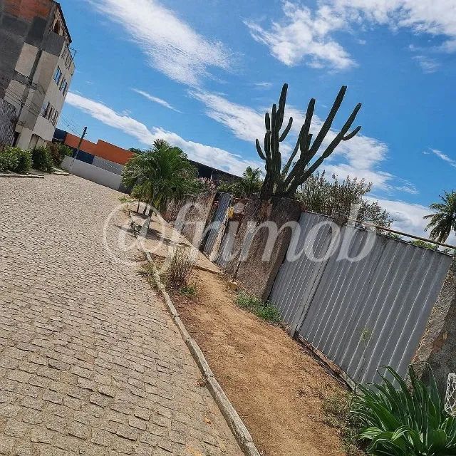PRÓXIMO À NOIDE CERQUEIRA E COLÉGIO ASAS.    - Foto 3