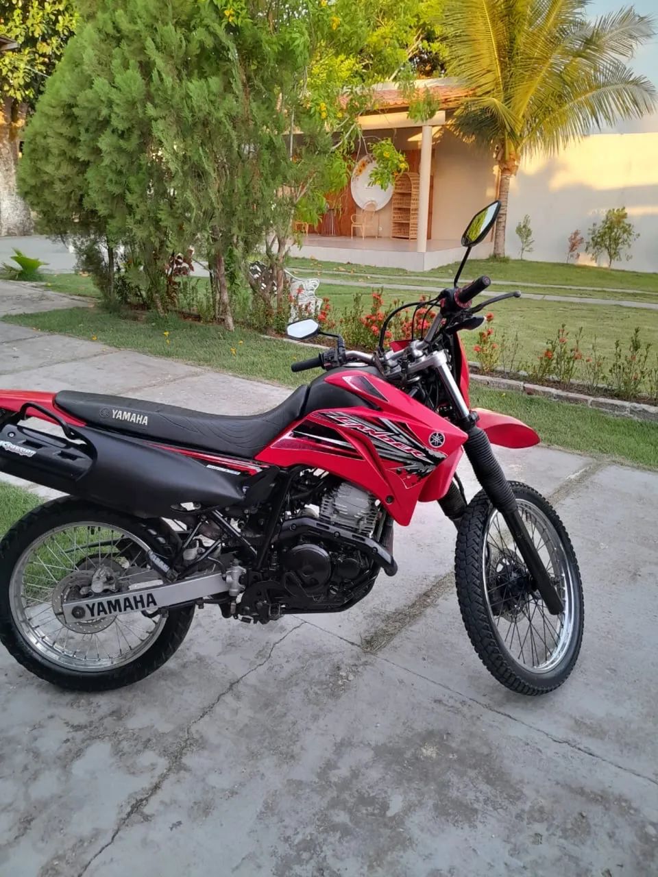 Lander 250 2017 - Foto 4