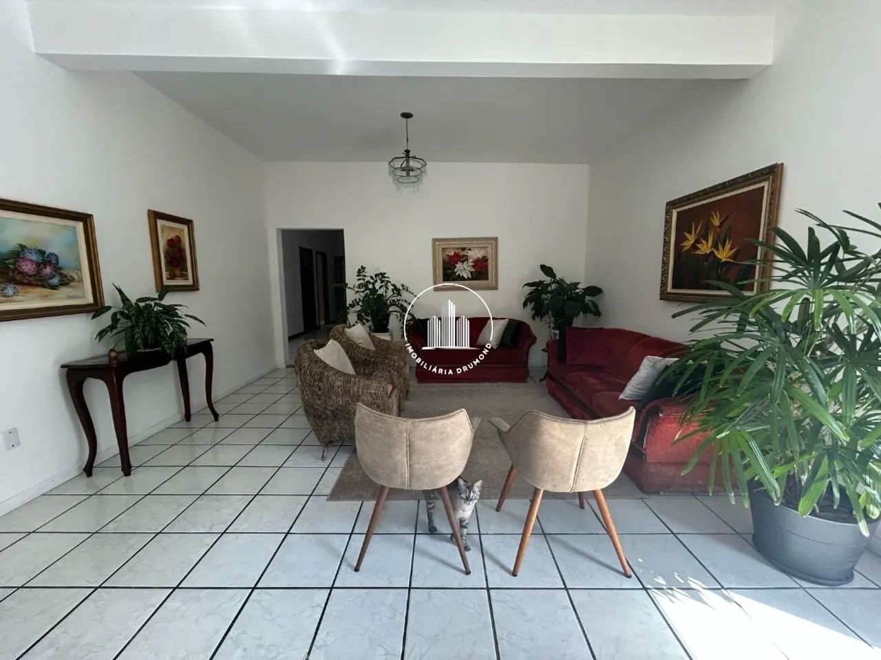 Casa 5 Quartos com 1 Suíte e 513m ² - Barreiros - Foto 2