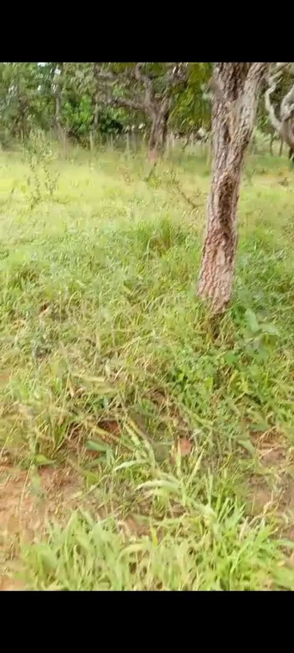 Chácara a venda - Foto 2