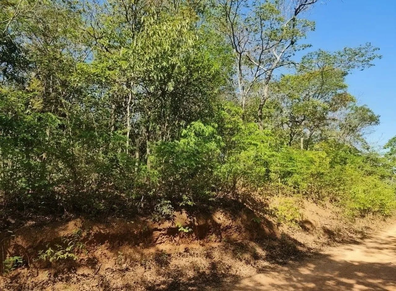 TERRENO EM JABOTICATUBA  - Foto 3
