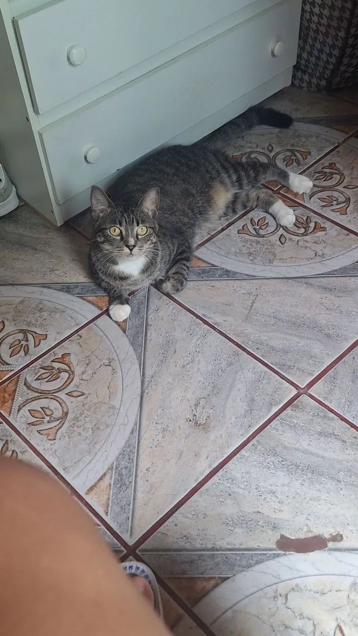 DOAÇÃO RESPONSÁVEL 