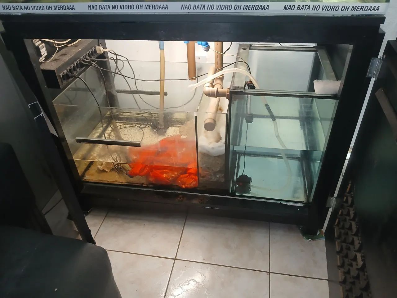 Aquario grande 120×60×60 - Foto 4
