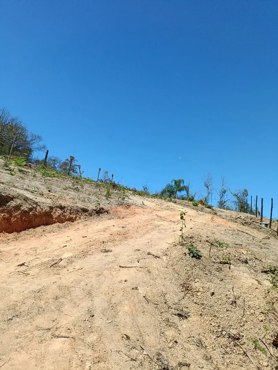 Situado: Rua vinte e Dois 