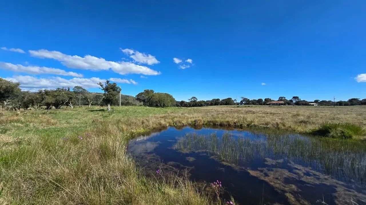 Sítio 2 km de Urupema - Foto 3