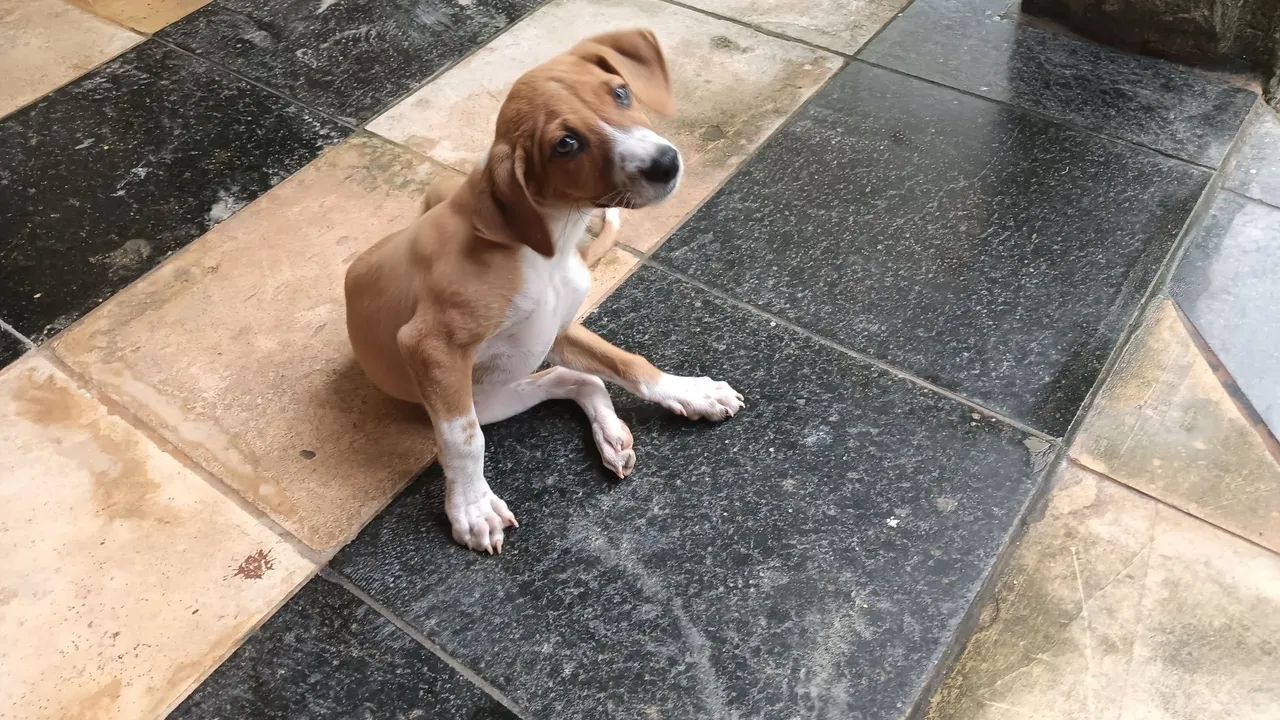 Doação 