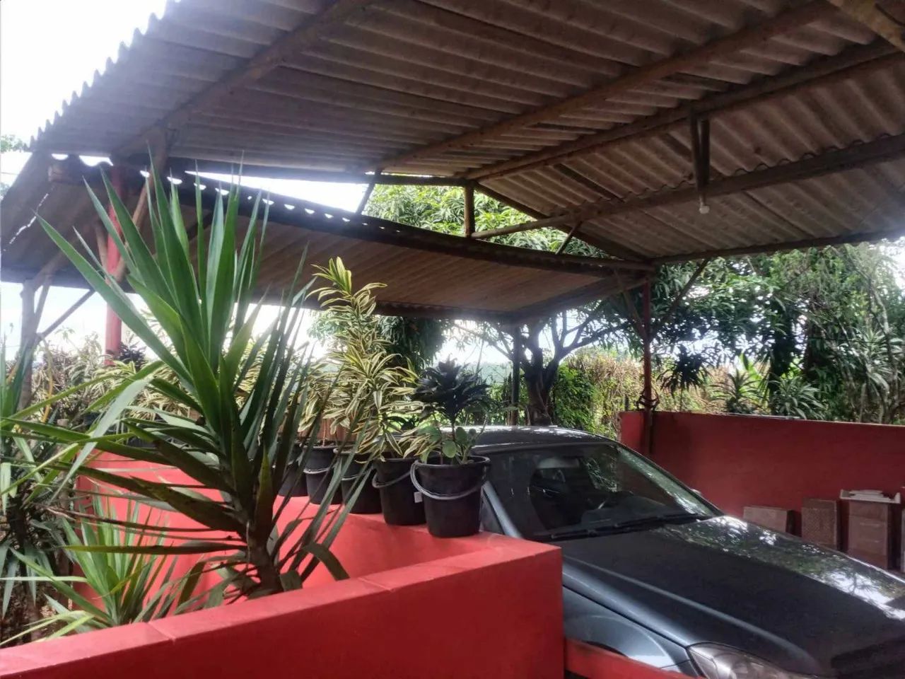 Fazenda / Sítios / Chácaras com 4 quartos à venda em Igarapé - Foto 5