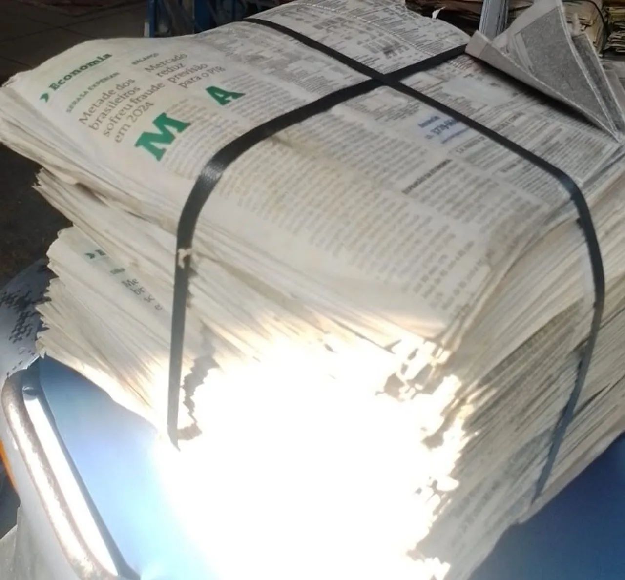 Jornal para PETS. - Foto 4