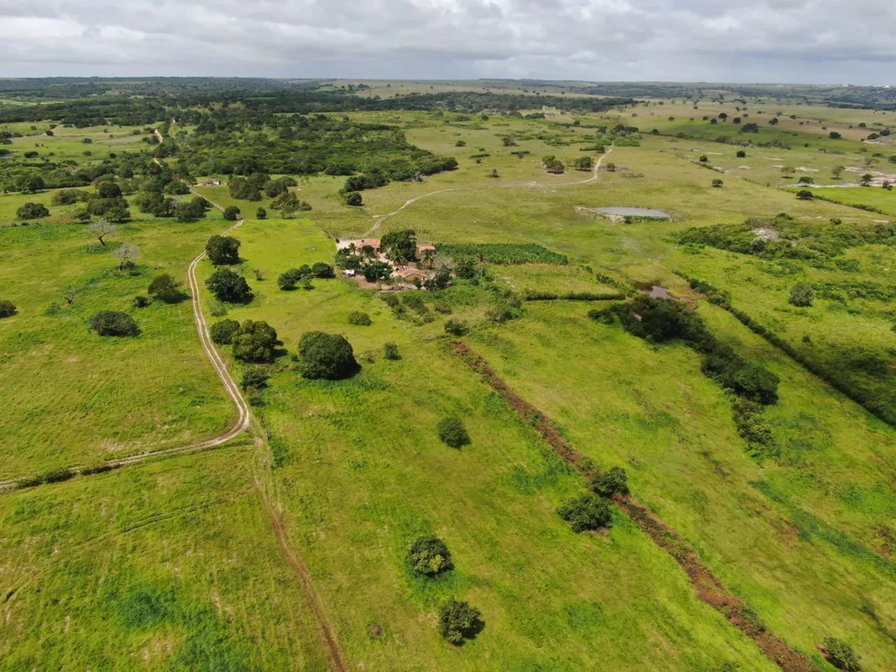 Propriedade há venda em Jacarau - Foto 4