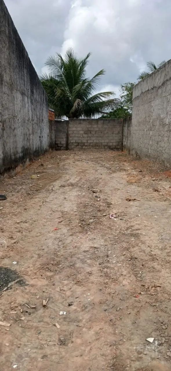 LOTE NA MATA  DO ROLO