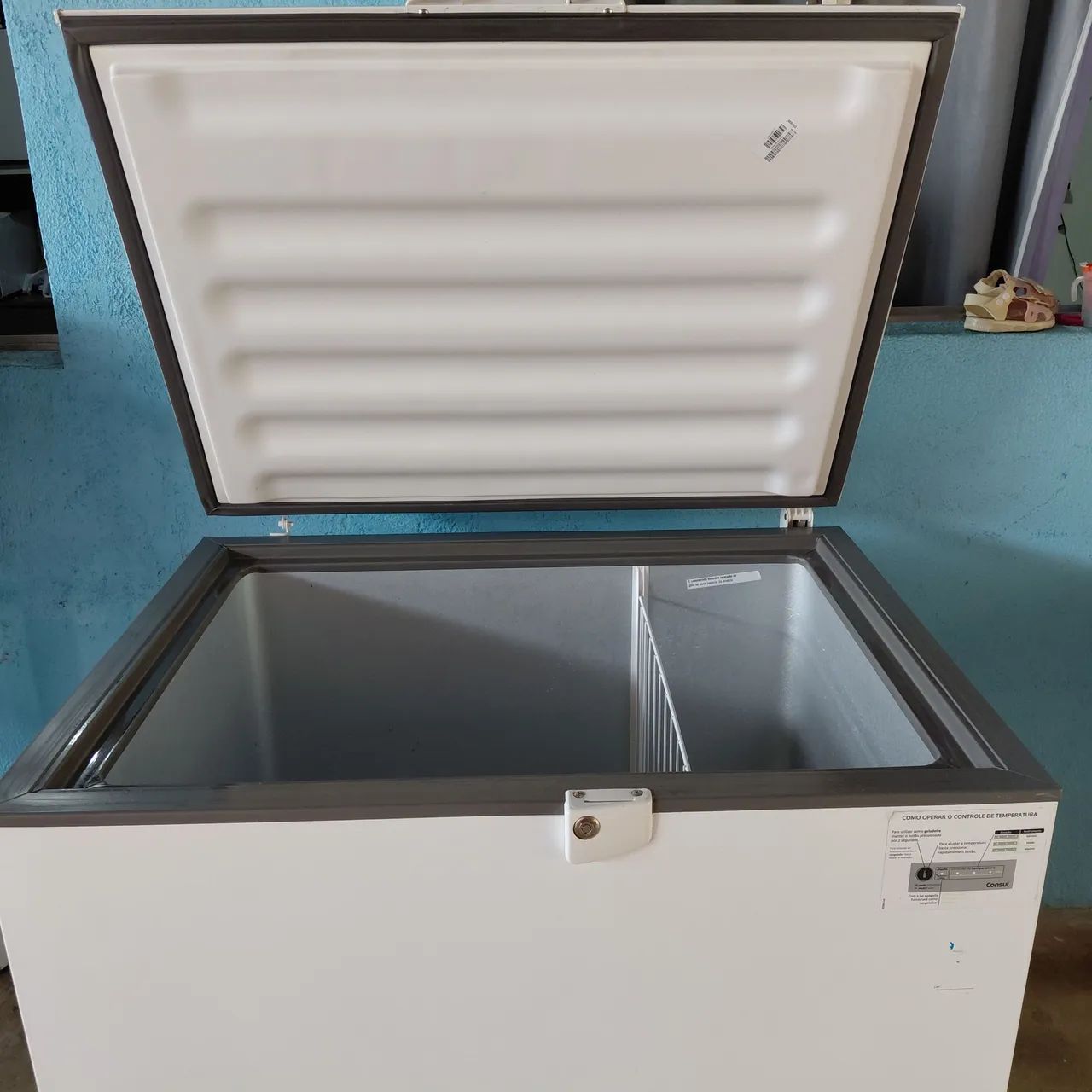 Frizer consul