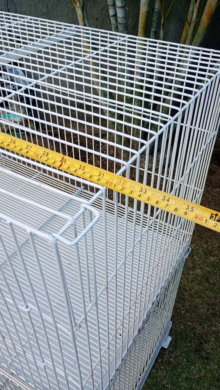 Viveiro banho e tosa - Foto 4