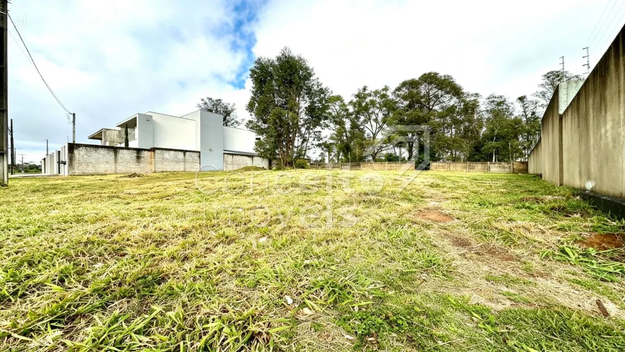 Terreno com 312 m² - Jardim Carvalho - Foto 2