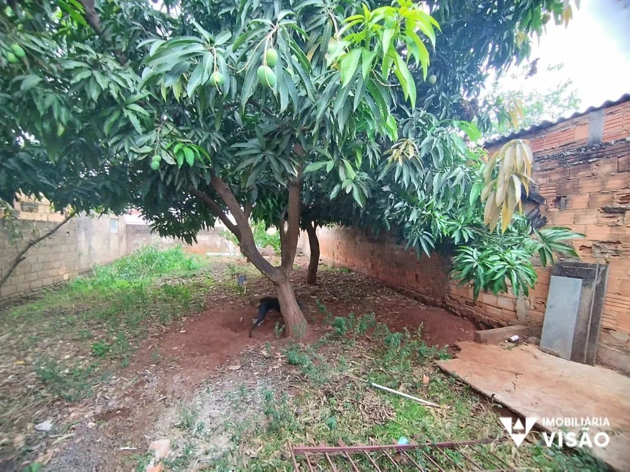 CASA COM PONTO DE COMÉRCIO PRÓXIMO AO POSTO DE COMBUSTÍVEL DA AV. PRUDENTE DE MORAIS - Foto 3