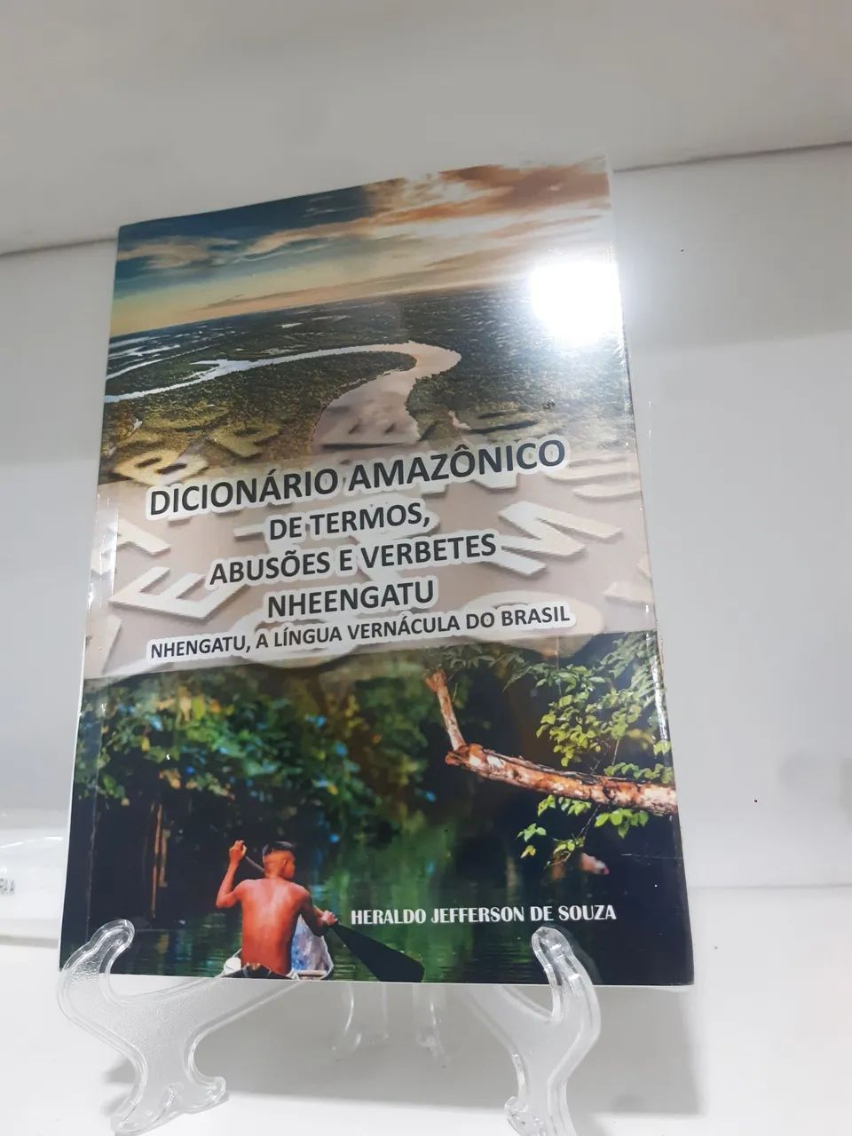 DICIONÁRIO AMAZÔNICO