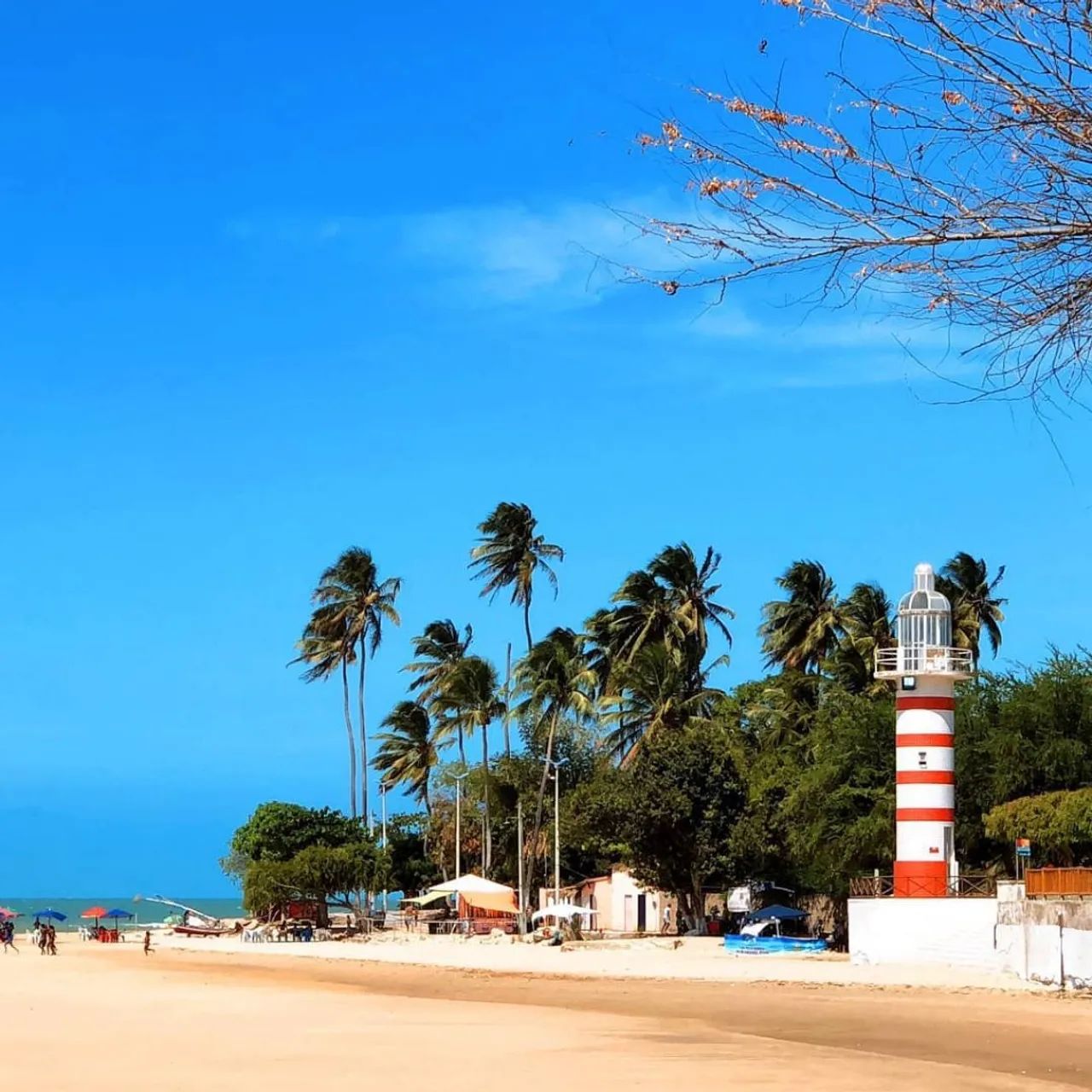Lotes em Paracuru - VENDO ou TROCO por veículo  - Foto 3
