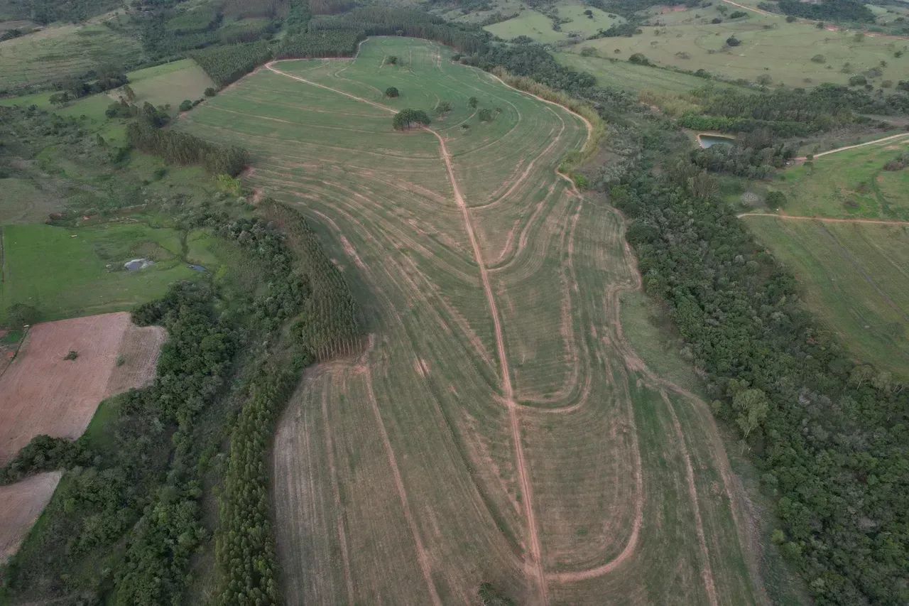 FAZENDA 138,46 HA ECHAPORÃ - Foto 5