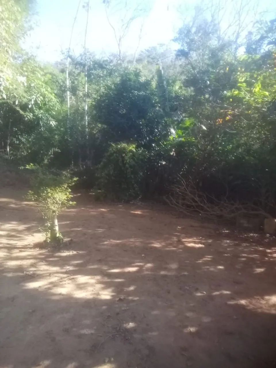Vendo casa com terreno amplo - Foto 3