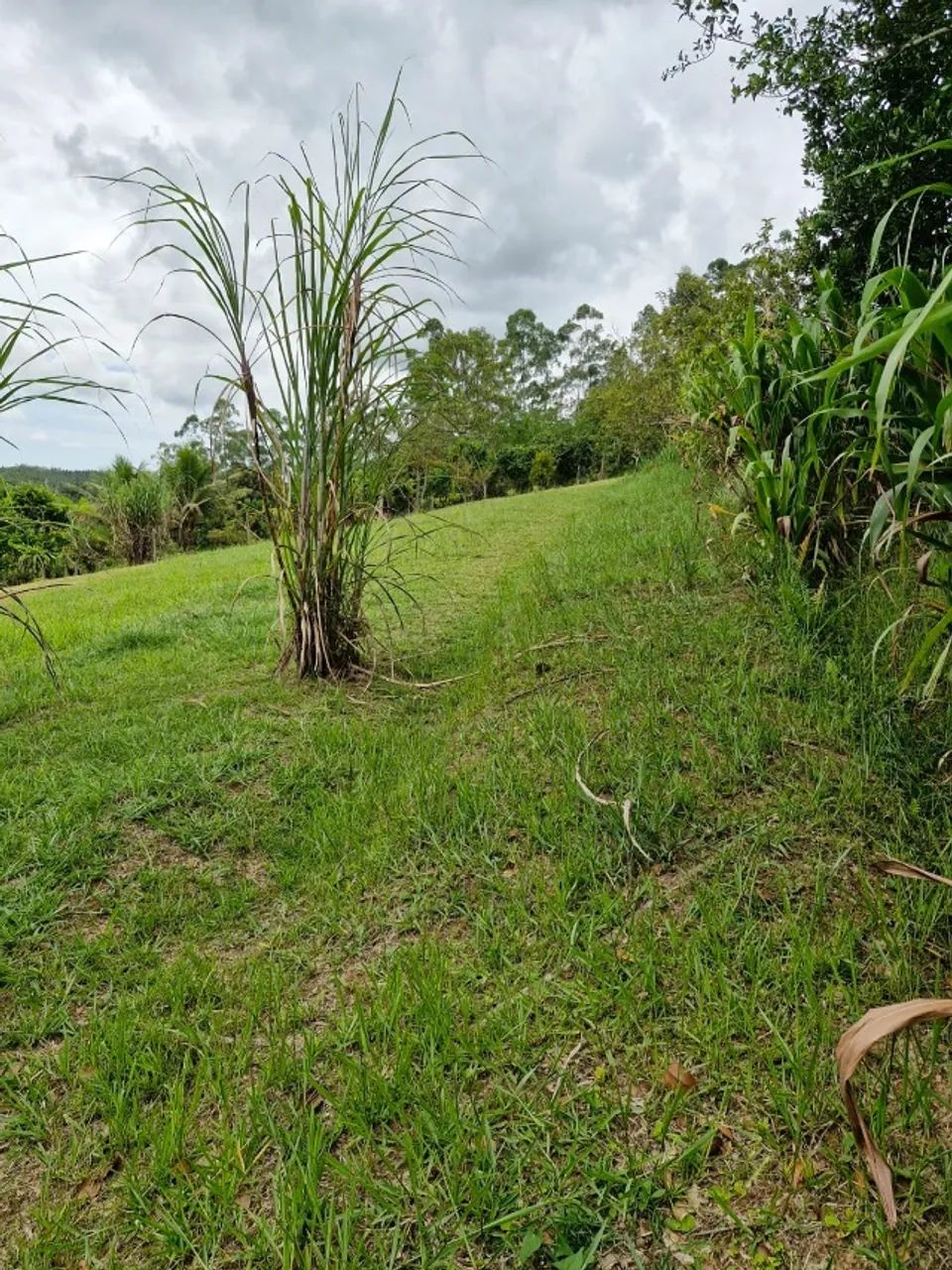 Terreno de 475m², Barra Velha/SC - Foto 4