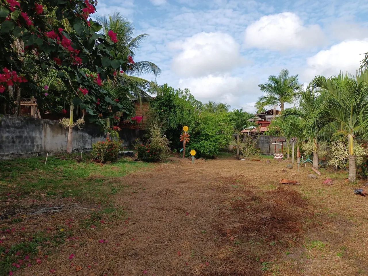 Vendo terreno no município de Ferreira Gomes  - Foto 2