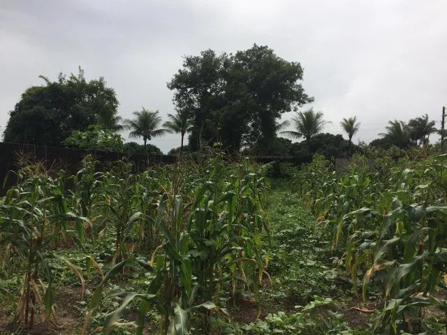 Terreno 1.000m2 de 20x50 - Condomínio Recanto de Aldeia KM 12! - Foto 7