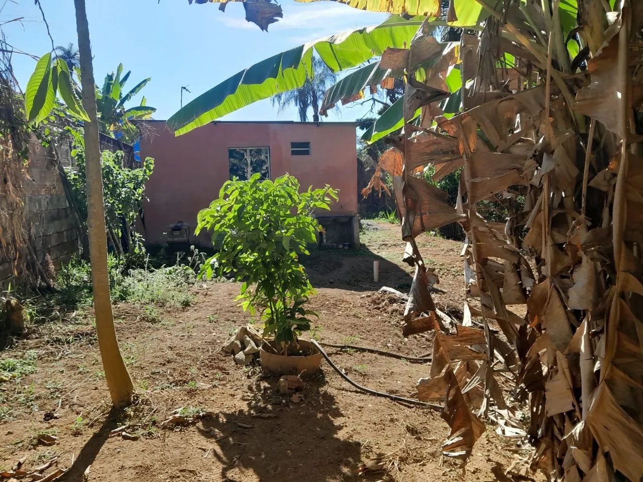 Terreno com casa  - Foto 2