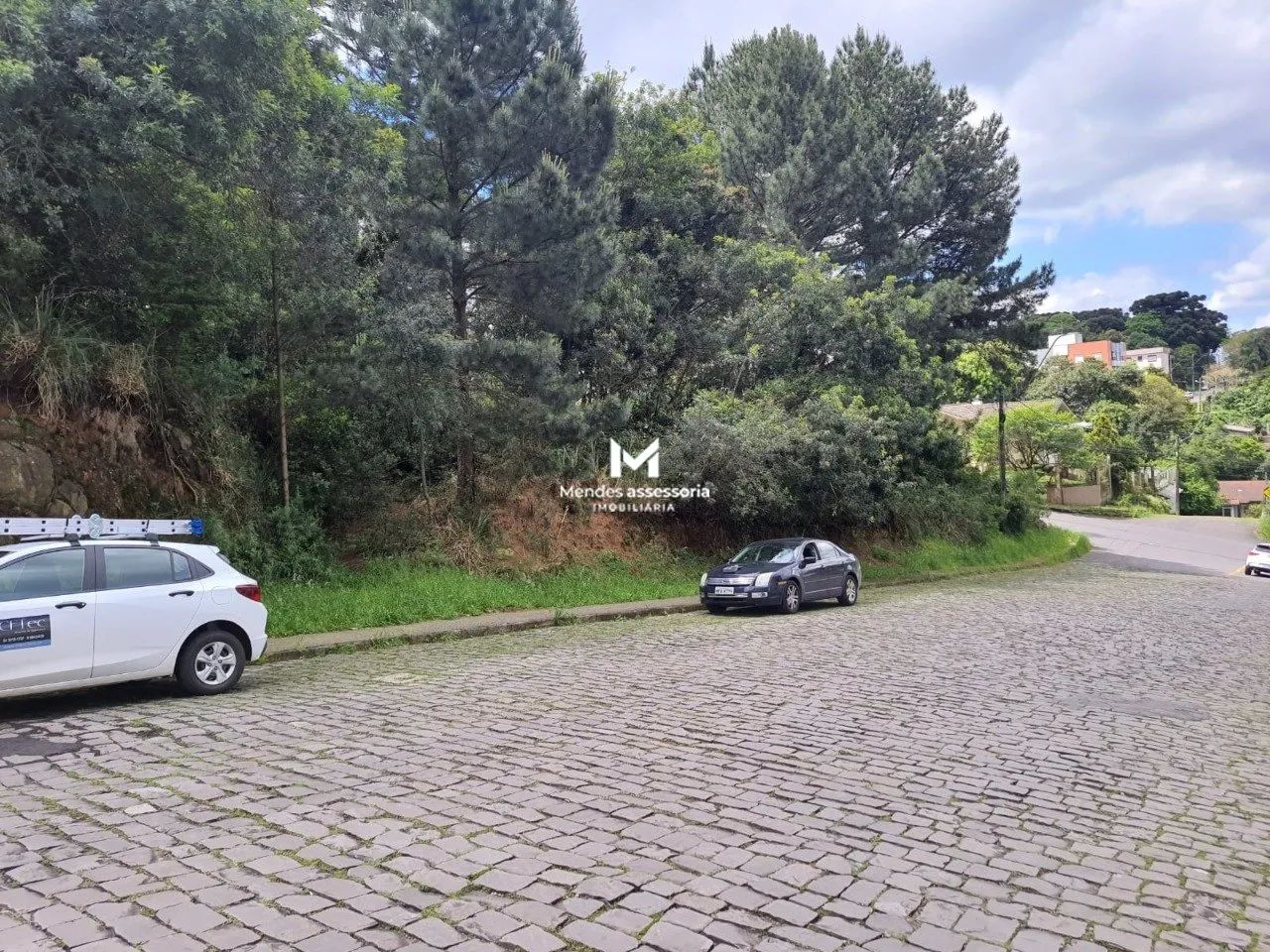 Terreno para permuta próximo da UCS - Foto 3